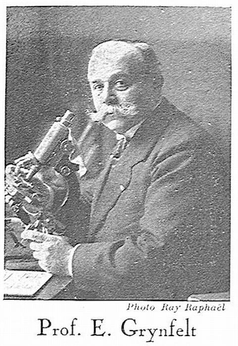 Portrait de Edouard-(Joseph-Casimir) GRYNFELTT