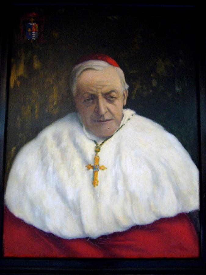 Portrait de François - Marie - Anatole de Rovérié, Cardinal de CABRIÈRES