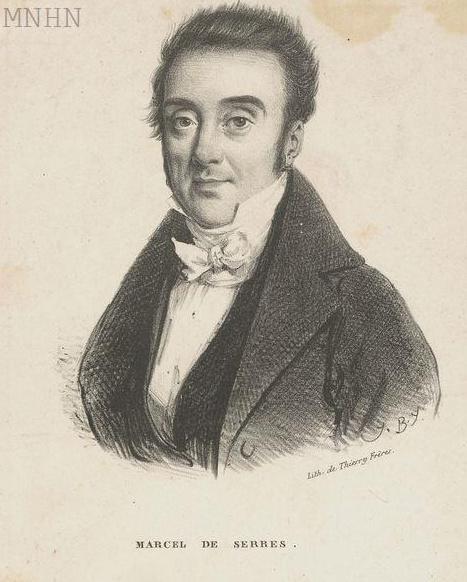 Portrait de Marcel de SERRES